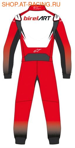  Alpinestars KMX-9 V2 Birel Art (,  1)