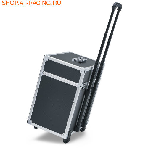 Proform Весы автомобильные (вид 4) Proform Весы автомобильные (фото, вид 4)