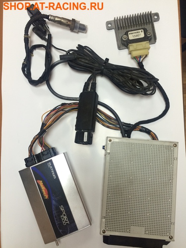 Haltech Platinum Sport 1000   