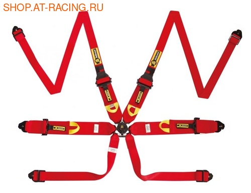   Beltenick RCU-1003H