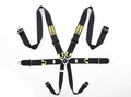   Beltenick RCU-1003