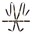   Beltenick RCU-1005