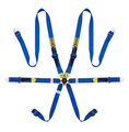   Beltenick RCU-1005