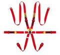   Beltenick RCU-1005