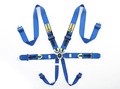   Beltenick RCU-1003