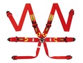   Beltenick RCU-1003