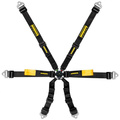 Ремни безопасности Schroth Enduro 2x2
