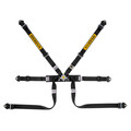   Sabelt FORMULA SERIE STEEL