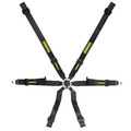 ����� ������������ Schroth PROFI XLT 2x2 pull down